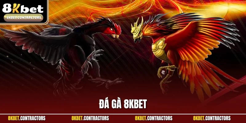 Đá Gà 8KBET | Sảnh Chơi Máu Lửa Cho Hội Viên Chinh Phục