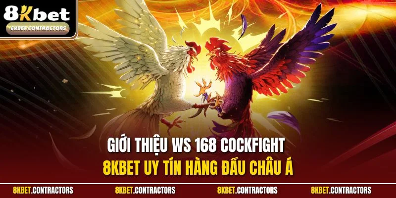 Giới thiệu WS 168 Cockfight 8KBET uy tín hàng đầu châu Á