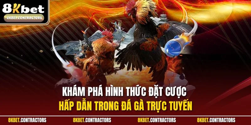 Khám phá hình thức đặt cược hấp dẫn trong đá gà trực tuyến