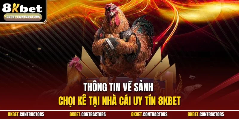 Thông tin về sảnh chọi kê tại nhà cái uy tín 8KBET