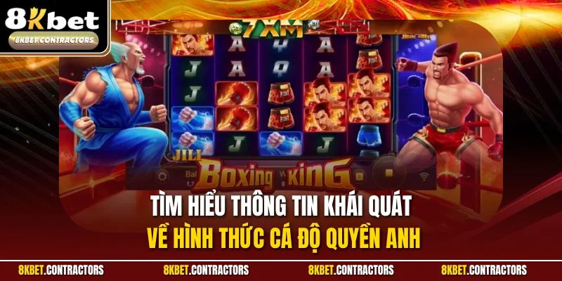 Tìm hiểu thông tin khái quát về hình thức cá độ quyền anh