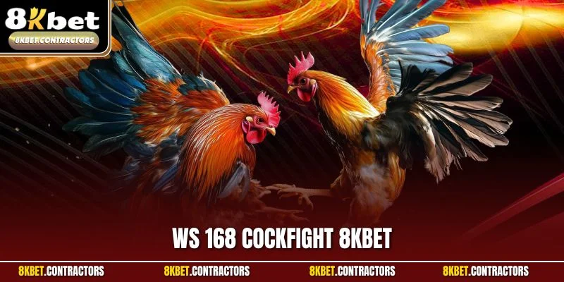 WS 168 Cockfight 8KBET – Sảnh Chơi Đá Gà Đẳng Cấp Năm 2025